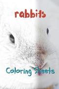 Rabbit Coloring Sheets: 30 Rabbit Drawings, Coloring Sheets Adults Relaxation, Coloring Book for Kids, for Girls, Volume 3