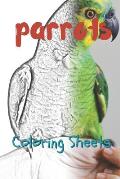 Parrot Coloring Sheets: 30 Parrot Drawings, Coloring Sheets Adults Relaxation, Coloring Book for Kids, for Girls, Volume 1