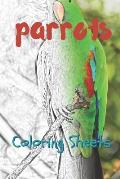 Parrot Coloring Sheets: 30 Parrot Drawings, Coloring Sheets Adults Relaxation, Coloring Book for Kids, for Girls, Volume 2