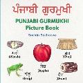 PUNJABI GURMUKHI Picture Book: Your First book for Punjabi Learning - hand painted with English translation (ages 3+)