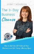 The 3-Day Business Cleanse: How to Get the Sh*t Out of Your Business and Get Things Moving Again
