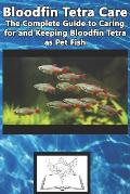Bloodfin Tetra Care: The Complete Guide to Caring for and Keeping Bloodfin Tetra as Pet Fish
