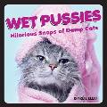 Wet Pussies: Hilarious Snaps of Damp Cats