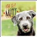 Love is a Mutt A Dog tastic Celebration of the Worlds Cutest Mixed & Cross Breeds