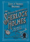 Puzzling Adventures of Sherlock Holmes Ten New Cases For You To Crack
