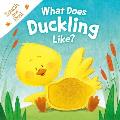 What Does Duckling Like Touch & Feel Board Book