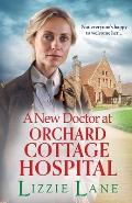 A New Doctor at Orchard Cottage Hospital