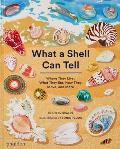 What A Shell Can Tell Phaidon Press