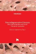 Neurodegenerative Diseases: Molecular Mechanisms and Current Therapeutic Approaches