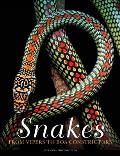 Snakes From Vipers to Boa Constrictors
