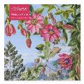 Adult Jigsaw Puzzle Kew: Marianne North: View in the Brisbane Botanic Garden (500 Pieces): 500-Piece Jigsaw Puzzles