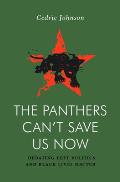 Panthers Cant Save Us Now Debating Left Politics & Black Lives Matter