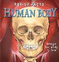 Human Body Pop Up Facts