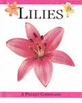 Lilies A Pocket Companion