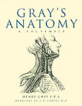 Grays Anatomy A Facsimile