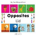 My First Bilingual Book-Opposites (English-Somali)