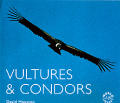 Vultures & Condors