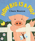 How Big Is A Pig