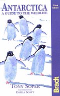 Bradt Antarctica A Guide To The Wildlife