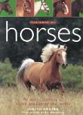 Book Of Horses
