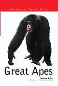 Great Apes Nature Fact Life