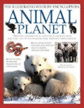 Illustrated Wildlife Encyclopedia Animal Planet