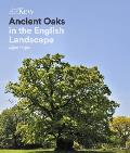 Ancient Oaks In the English Landscape