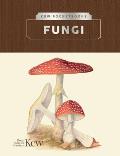 Kew Pocketbooks Fungi