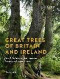 Great Trees of Britain & Ireland 60 of the Best Ancient Avenues Forests & Trees to Visit