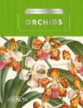 Kew Pocketbooks: Orchids