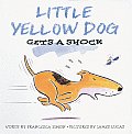 Little Yellow Dog Gets A Shock
