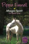 Magic Spirit
