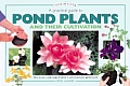 Practical Guide to Pond Plants & Their Cultivation How to Use a Wide Range of Plants in & Around Your Garden Pond