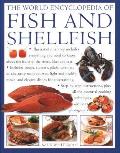 World Encyclopedia of Fish & Shellfish Illustrated Directory Contains Everything You Need to Know about the Fruits of the Rivers Lakes & Seas