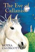 The Eye of Callanish
