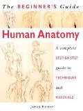 Beginners Guide Human Anatomy A Complete