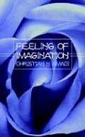 Feeling of Imagination