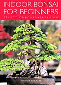 Indoor Bonsai for Beginners Selection Care Training