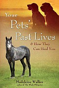 Your Pets Past Lives & How They Can Heal You