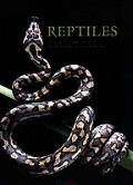 Reptiles Photography Paul Starosta