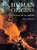 Human Origins The Story Of Our Species