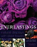 Everlastings Natural Displays With Dried Flowers