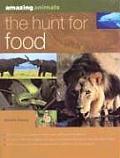 Amazing Animals Hunt For Food