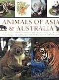 Animals of Asia & Australia A Visual Encyclopedia of Amphibians Reptiles & Mammals in the Asian & Australasian Continents with Over 350 Illu