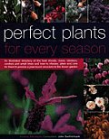 Perfect Plants For Every Season