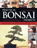 Practical Bonsai Projects Create 23 Superb Trees