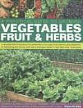 Practical Guide to Growing Vegetables Fruits & Herbs A Complete How To Handbook for Gardening for the Table from Planning & Preparation to Ha