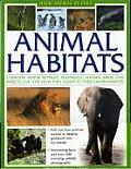 Animal Habitats Compare Where Reptiles Mammals Sharks Birds & Insects Live & How They Adapt to Their Environments