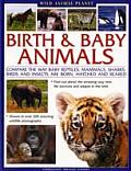 Wild Animal Planet Birth & Baby Animals Compare the Way Reptiles Mammals Sharks Birds & Insects Are Born Find Out about the Amazing Way New