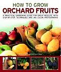 How to Grow Orchard Fruit